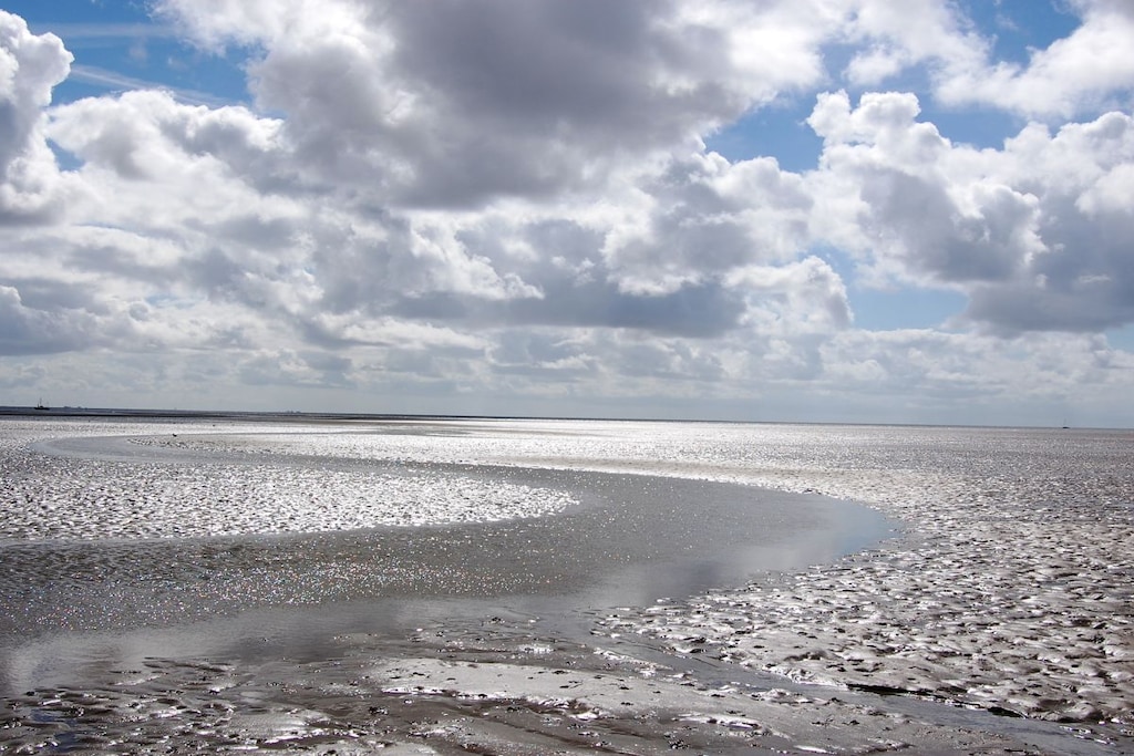 8053 - Niet-getagd