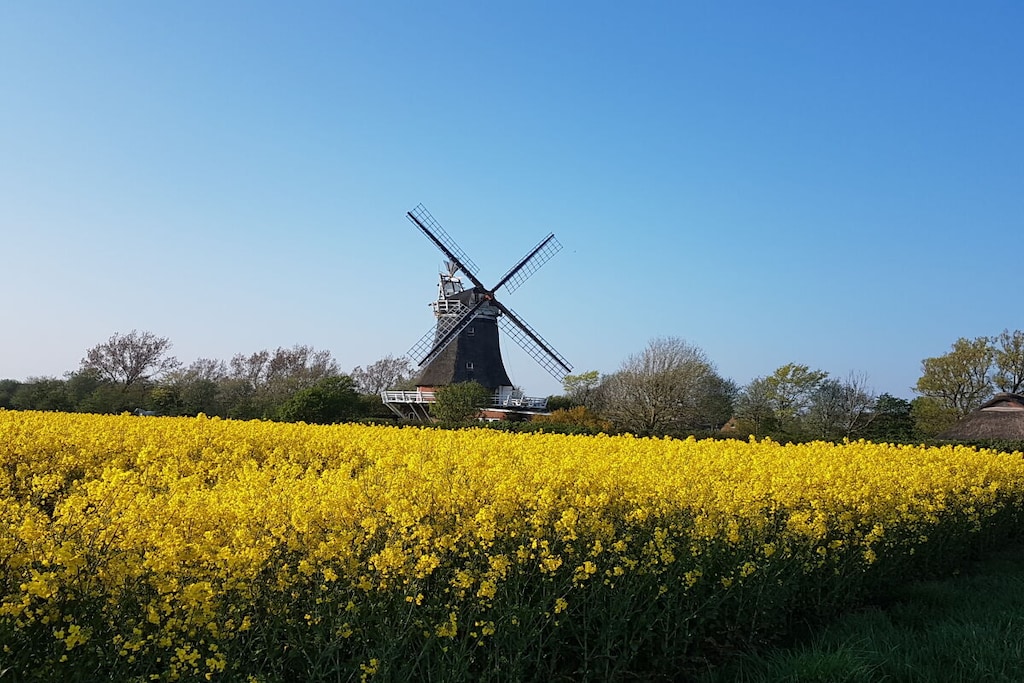 8053 - Niet-getagd