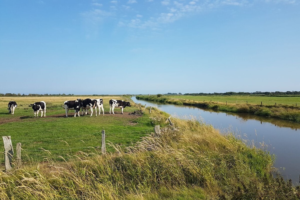 8053 - Niet-getagd