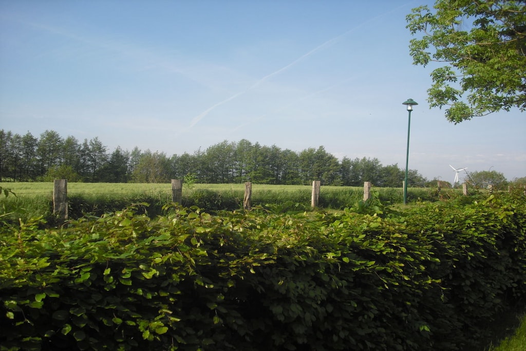 49211 - Niet-getagd
