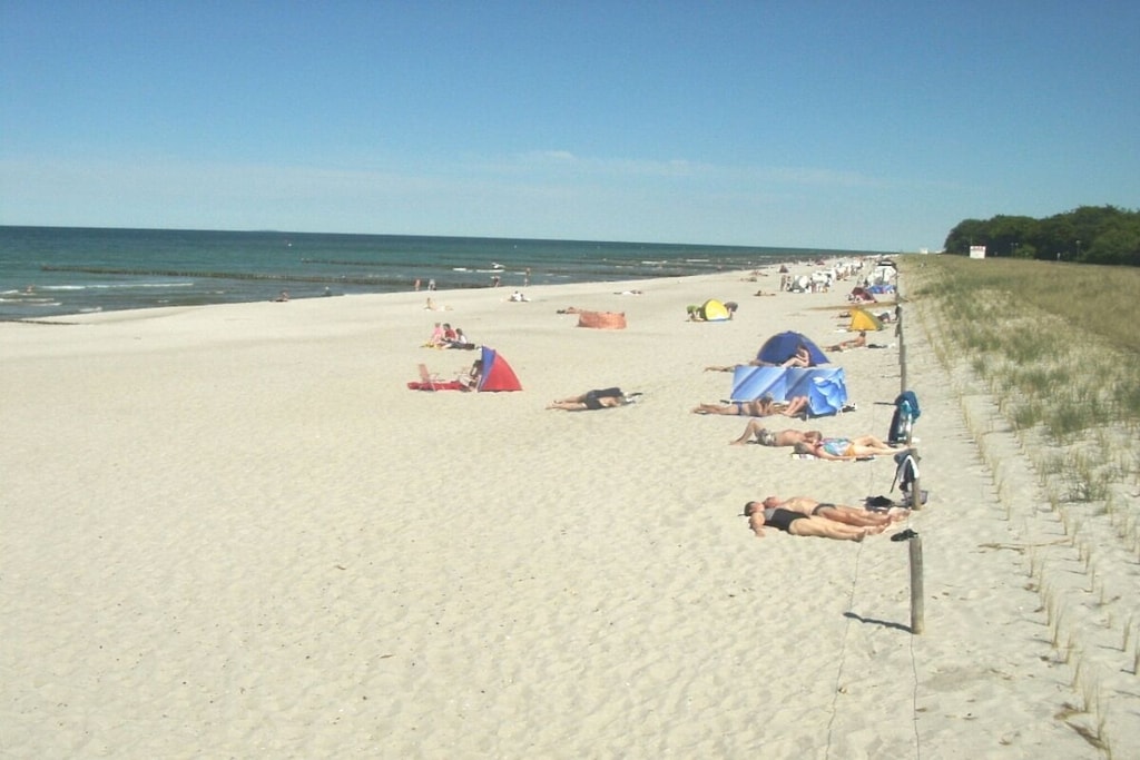 83456 - Niet-getagd