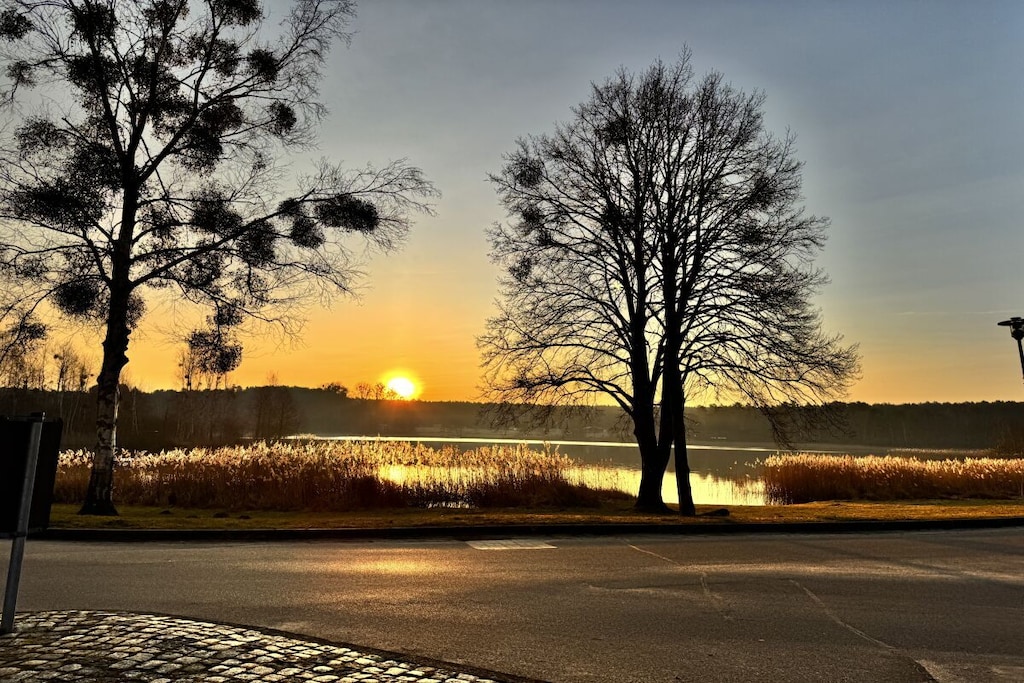 54975 - Niet-getagd