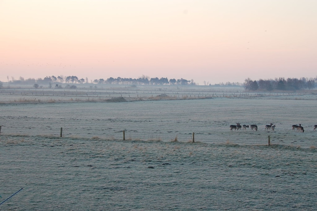 115287 - Niet-getagd