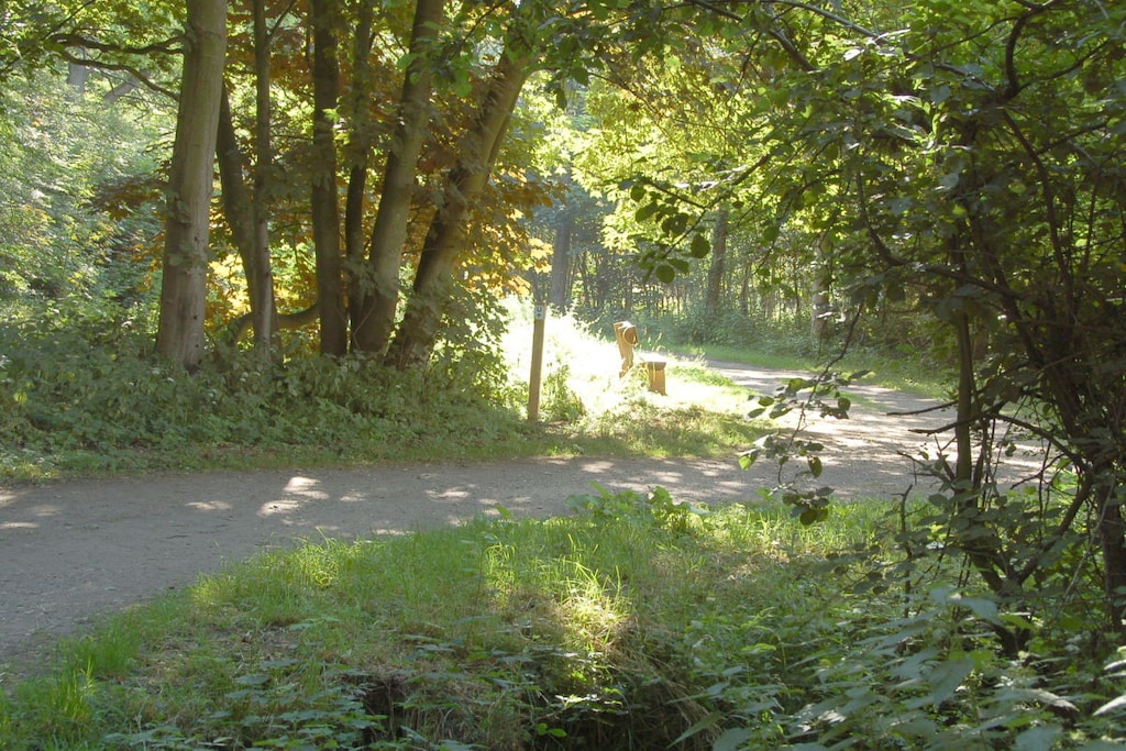 115287 - Niet-getagd