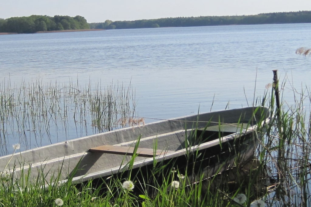 55405 - Niet-getagd
