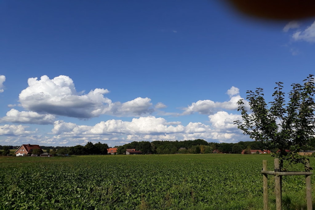 98463 - Niet-getagd