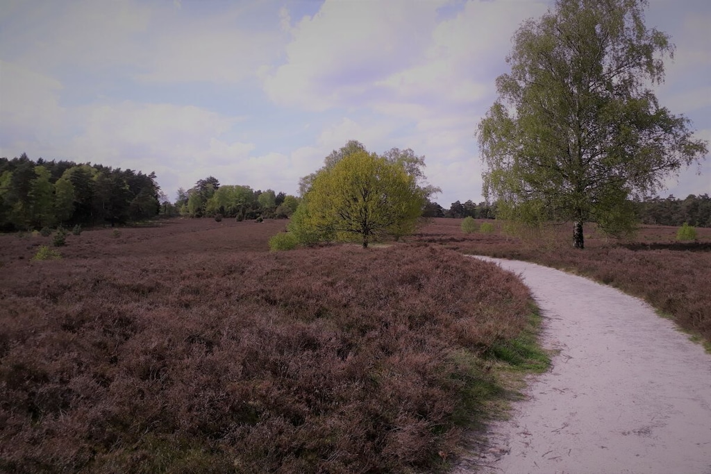 98463 - Niet-getagd