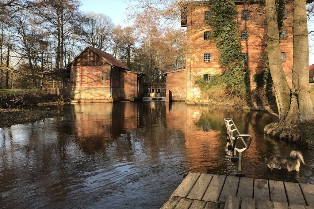 98463 - Niet-getagd