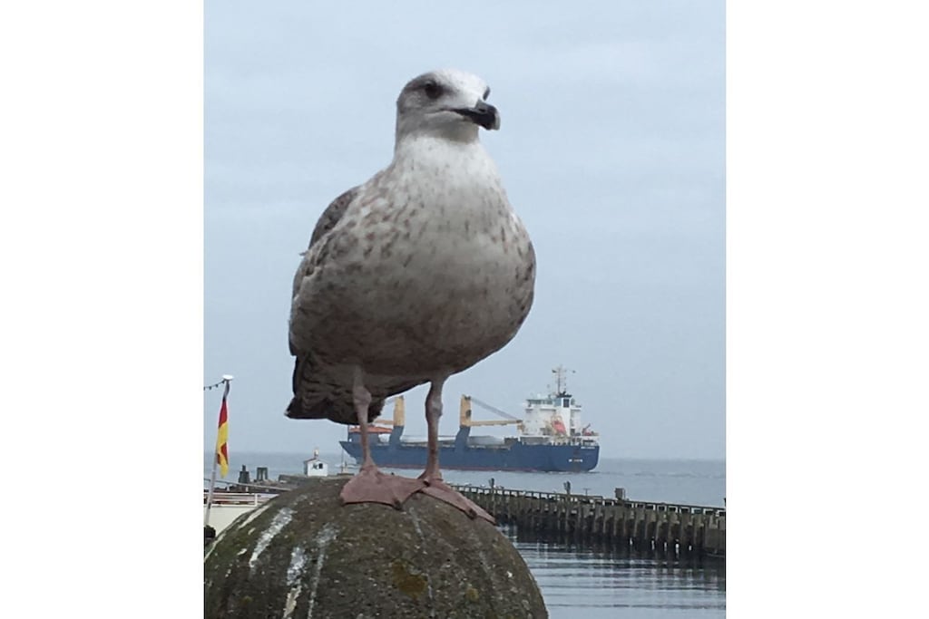60174 - Niet-getagd