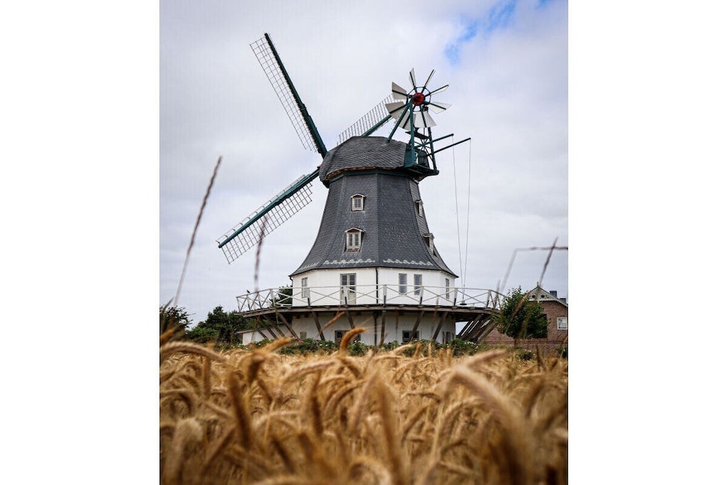 130335 - Niet-getagd