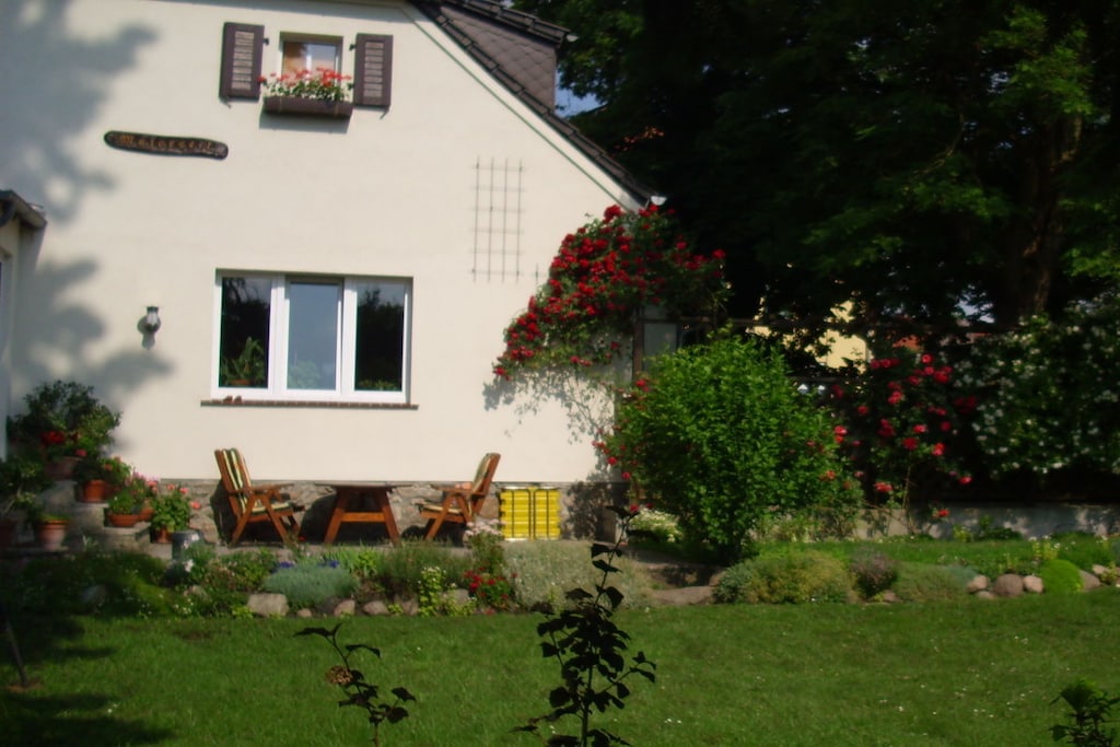 75461 - Niet-getagd