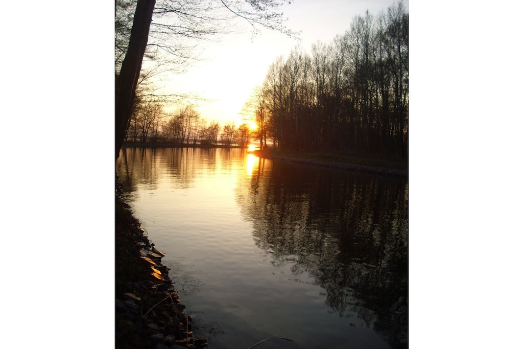75461 - Niet-getagd