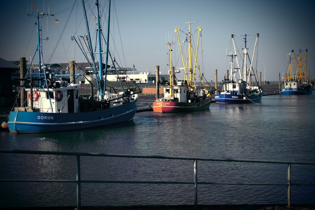 31058 - Niet-getagd