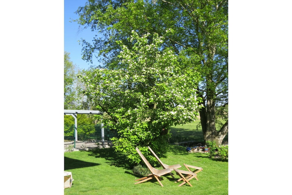 132771 - Niet-getagd
