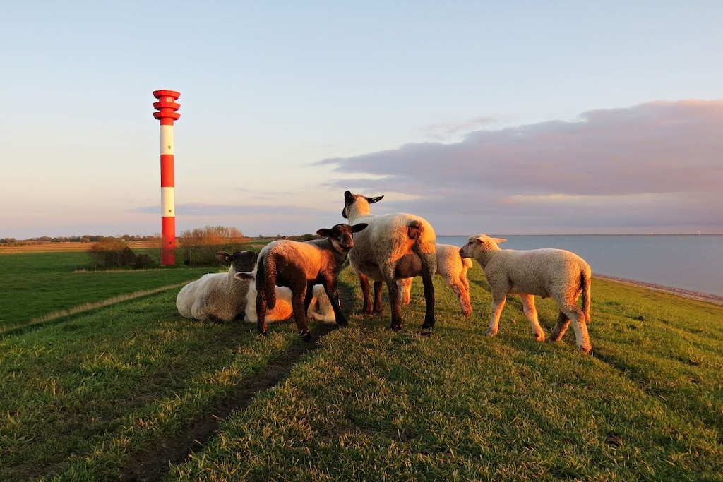 132771 - Niet-getagd