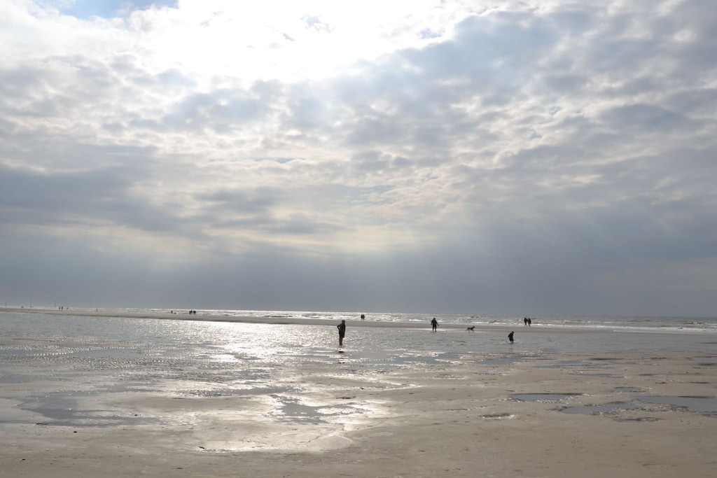 255411 - Niet-getagd