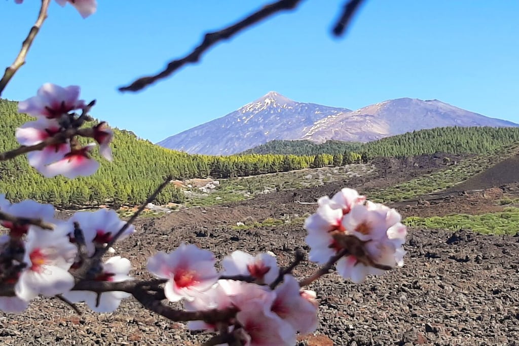 581115 - Niet-getagd