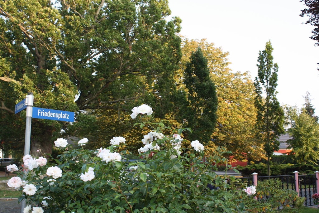 219054 - Niet-getagd