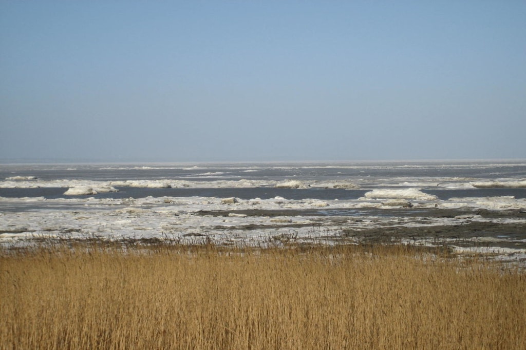 42318 - Niet-getagd