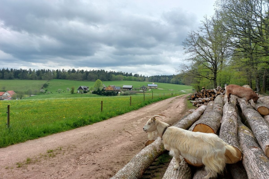 98027 - Niet-getagd