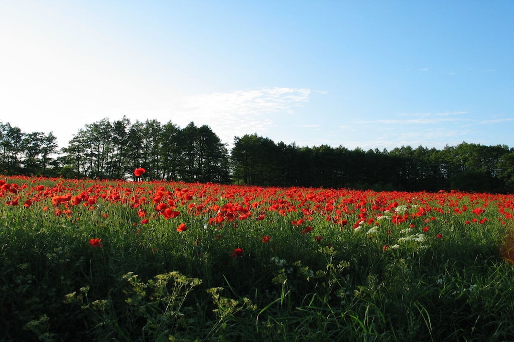 130099 - Niet-getagd