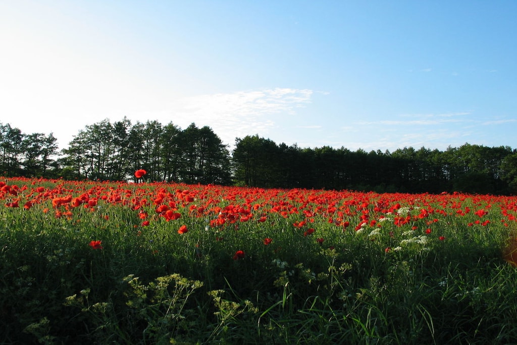 130099 - Niet-getagd