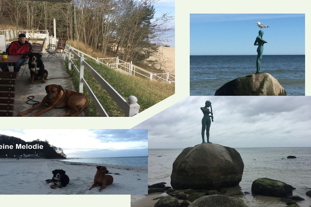 61224 - Niet-getagd