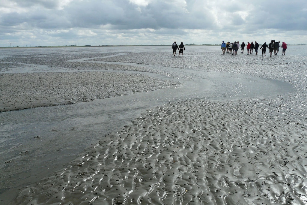257335 - Niet-getagd