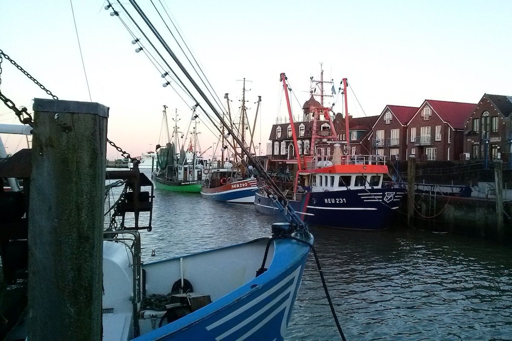 263820 - Niet-getagd