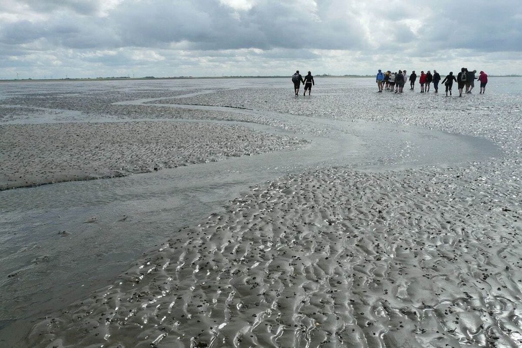 258029 - Niet-getagd