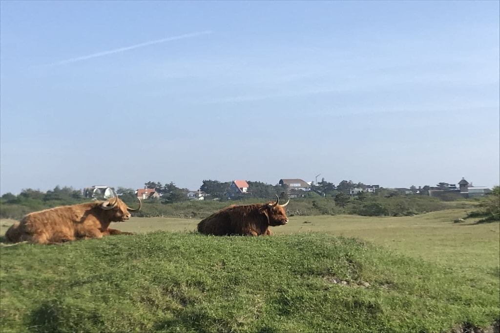 45913 - Niet-getagd