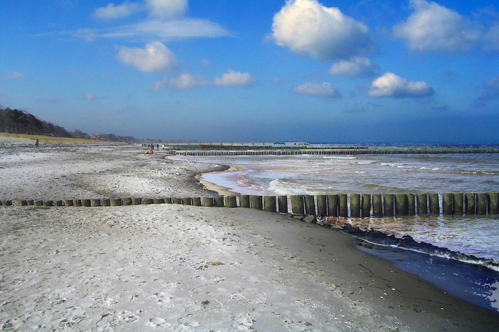 81518 - Niet-getagd