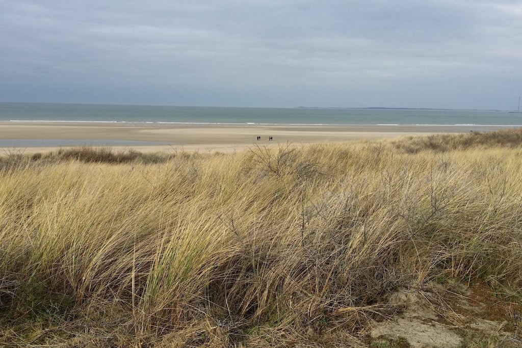 181101 - Niet-getagd