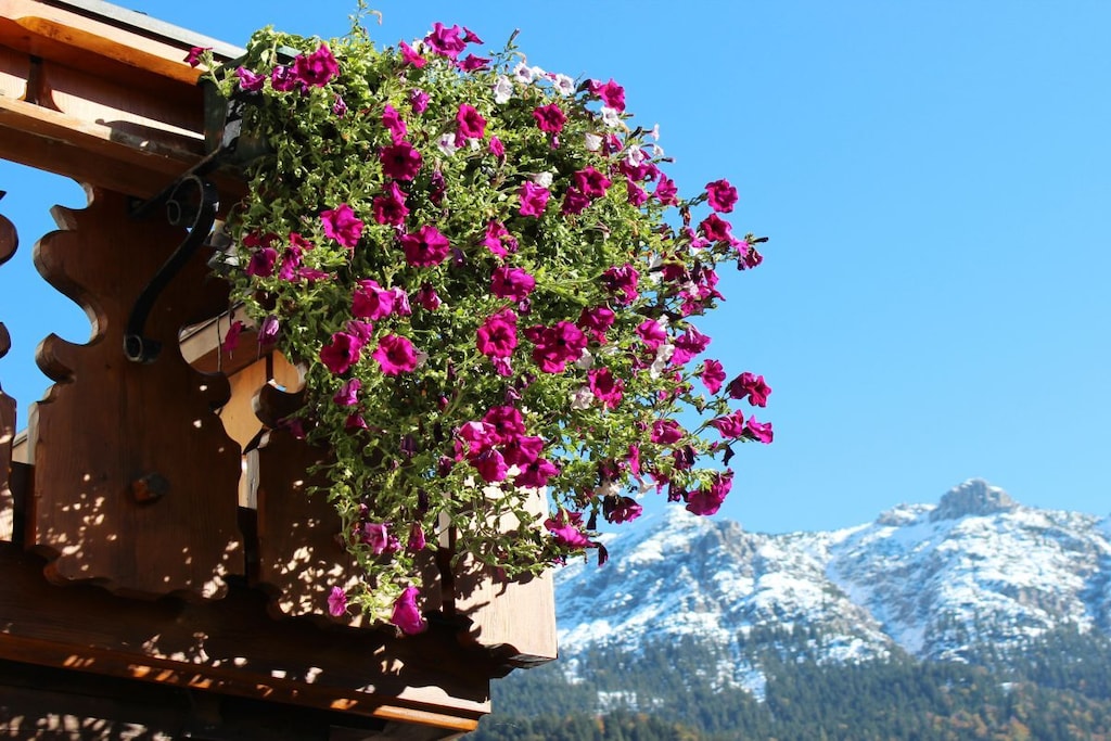 84116