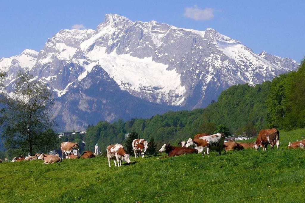 228359 - Nicht zugeordnet