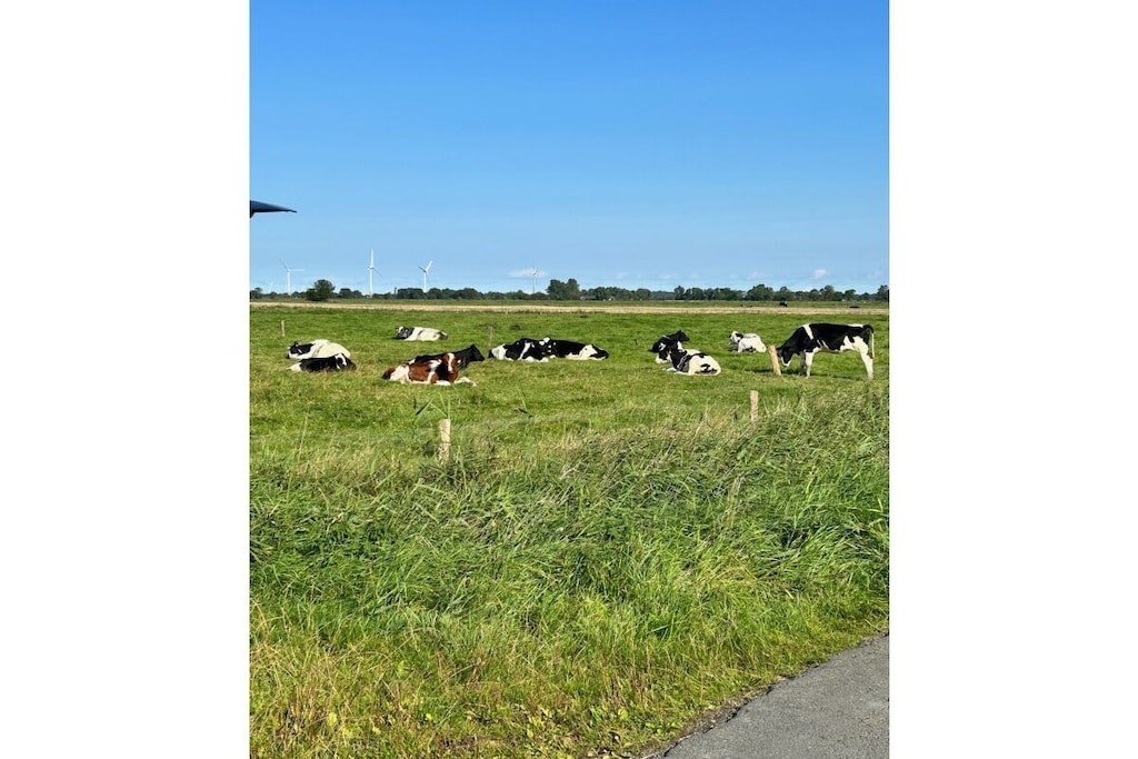 486686 - Niet-getagd