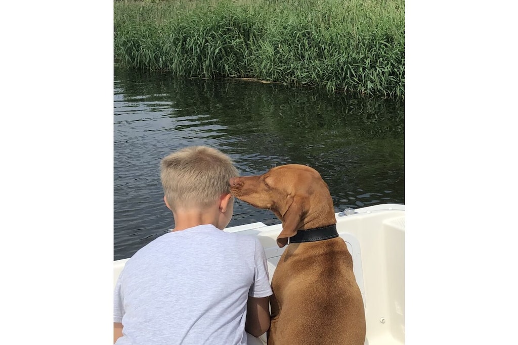 218526 - Niet-getagd