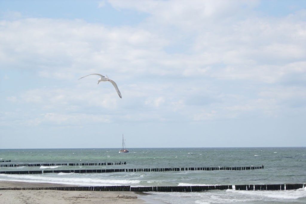 34175 - Niet-getagd