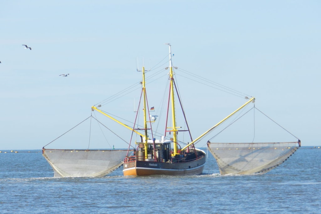 126261 - Niet-getagd