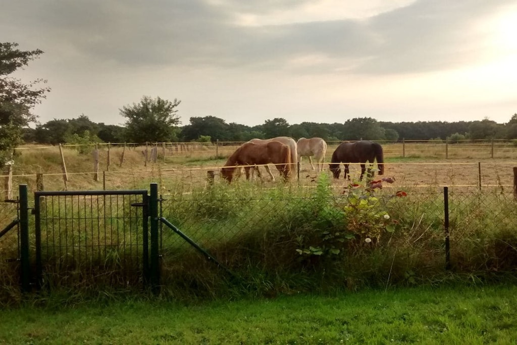 101673 - Niet-getagd