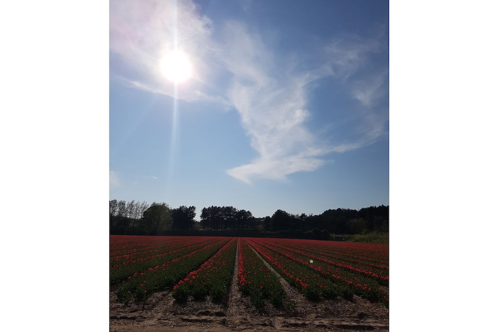 244934 - Niet-getagd