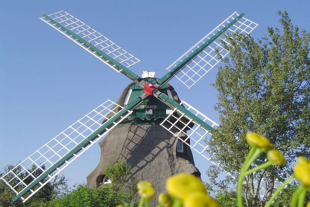 116759 - Niet-getagd