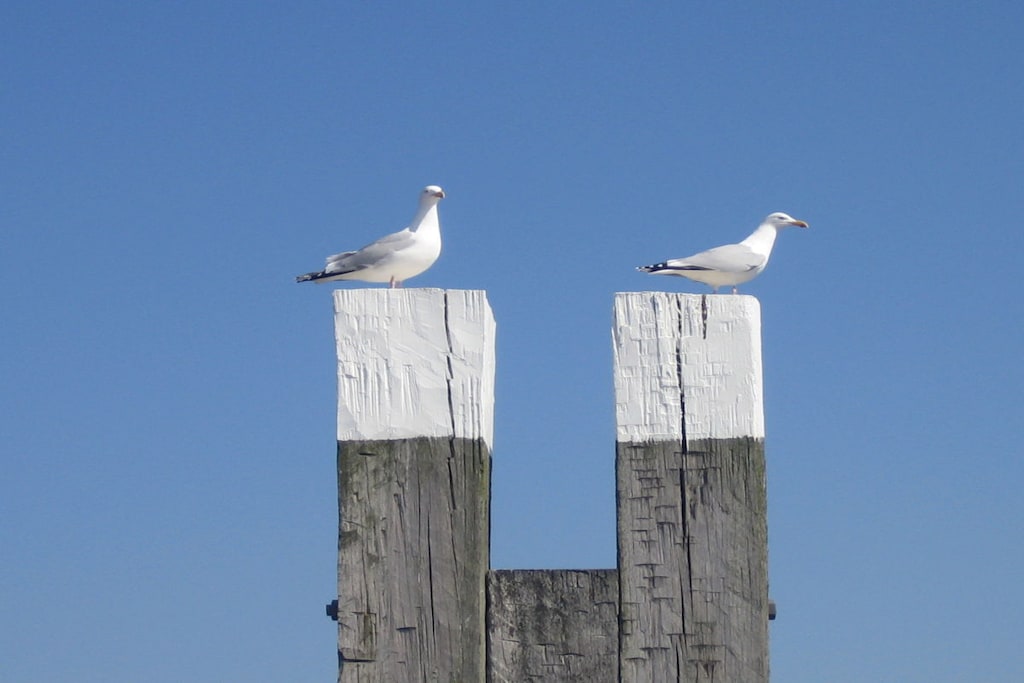137356 - Niet-getagd