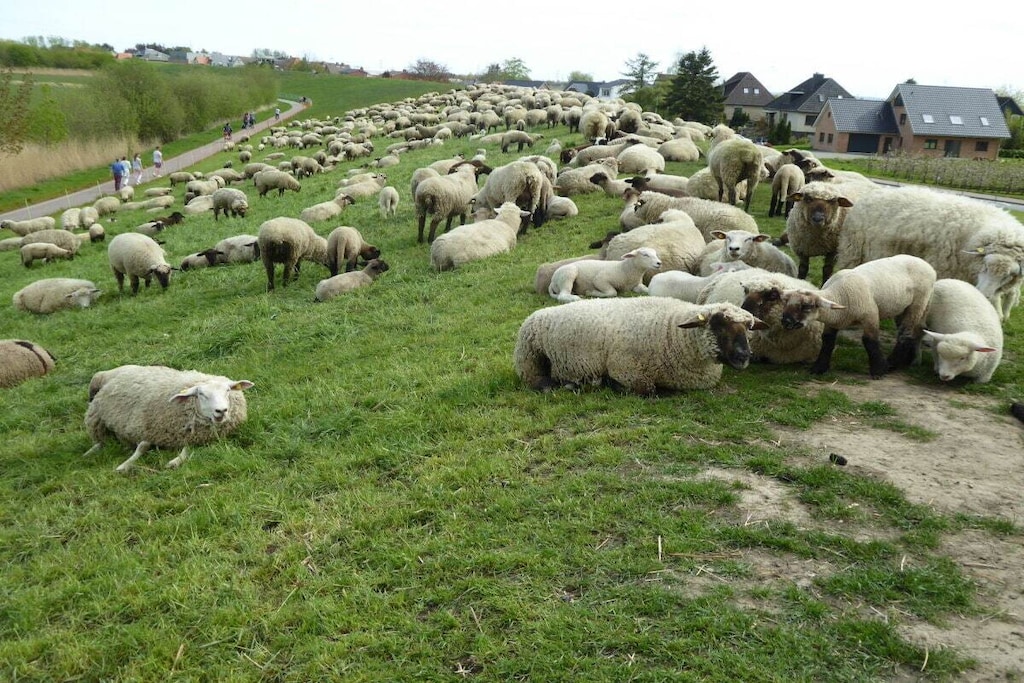 320543 - Nicht zugeordnet