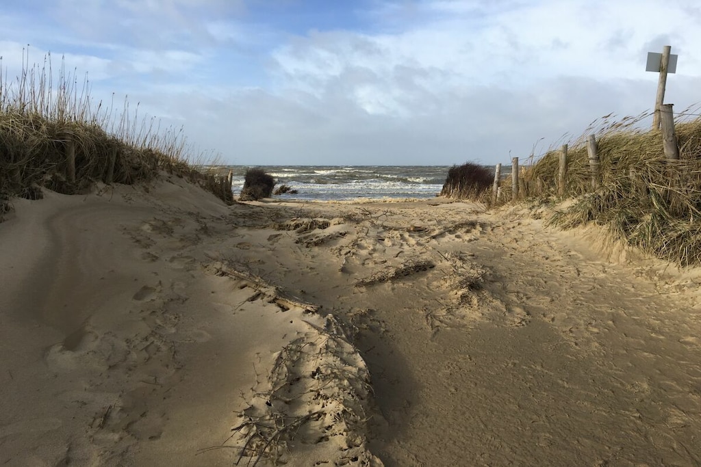 11991 - Niet-getagd