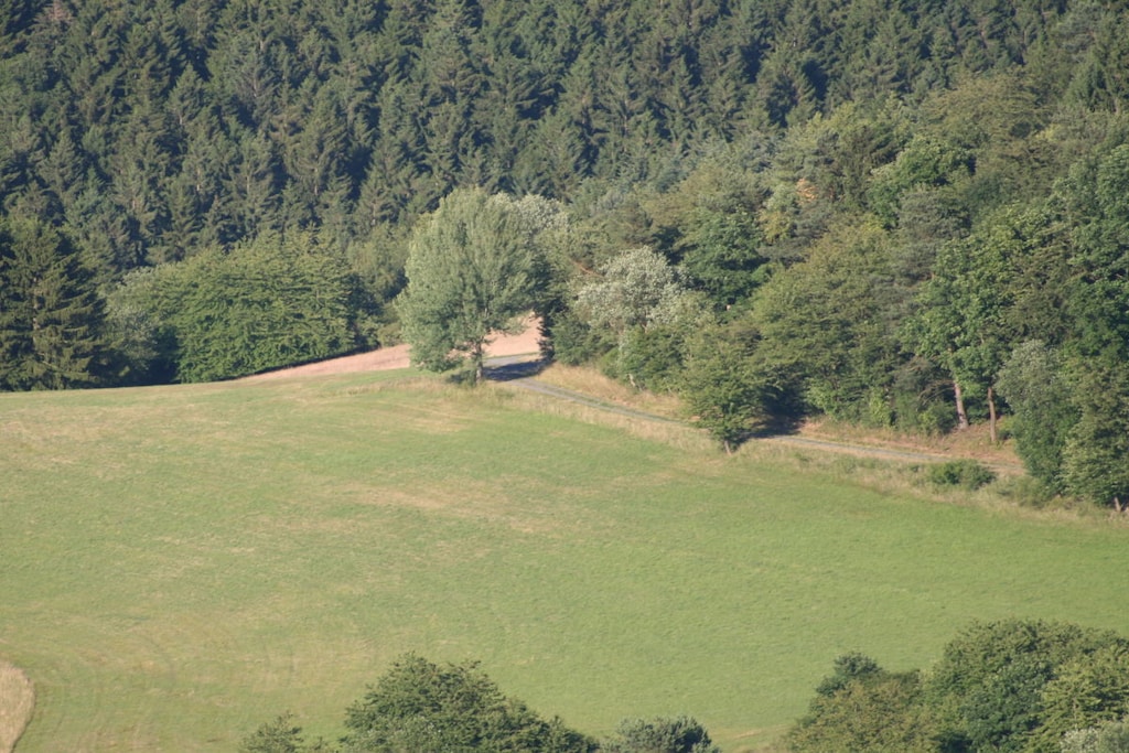 18568 - Niet-getagd