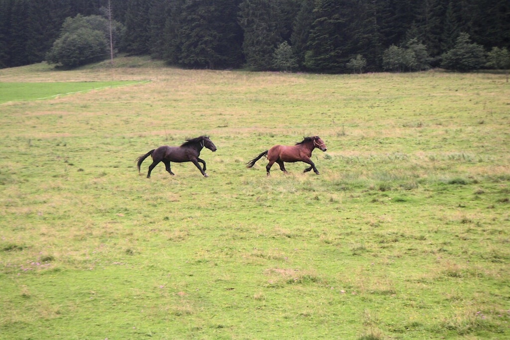 162492 - Niet-getagd
