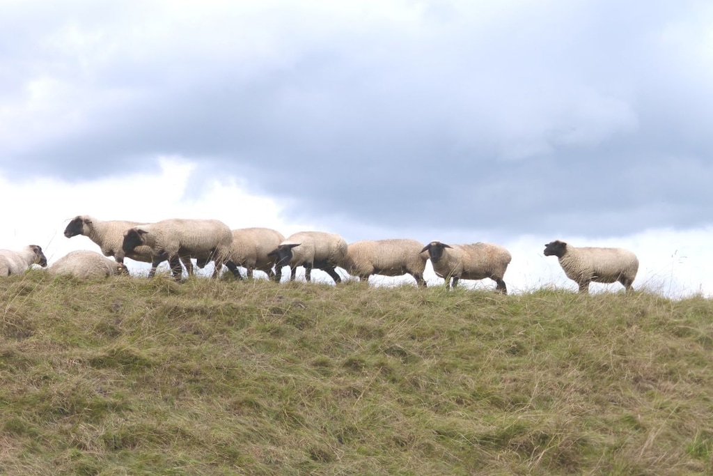 128291 - Niet-getagd