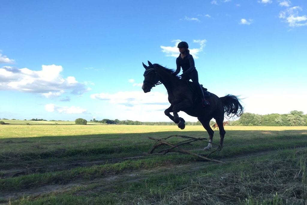 47960 - Niet-getagd