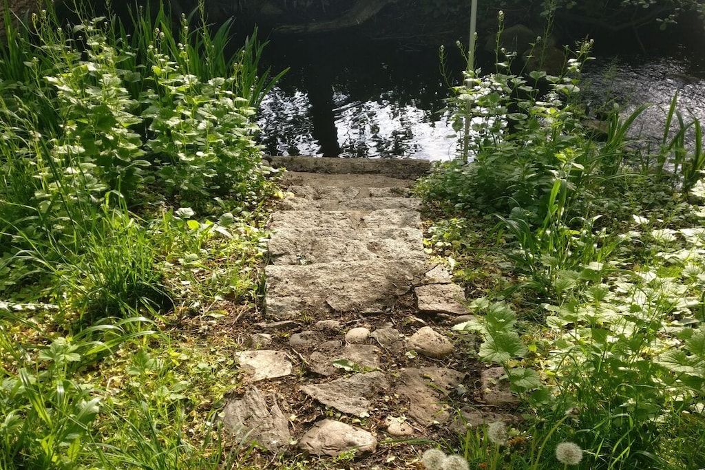 216165 - Niet-getagd